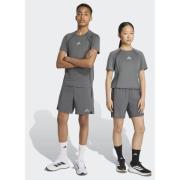 Adidas TECH APPAREL SHORTS