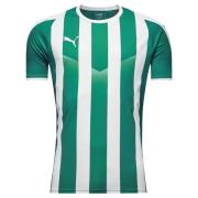 PUMA Spillertrøye LIGA Striped - Grønn/Hvit